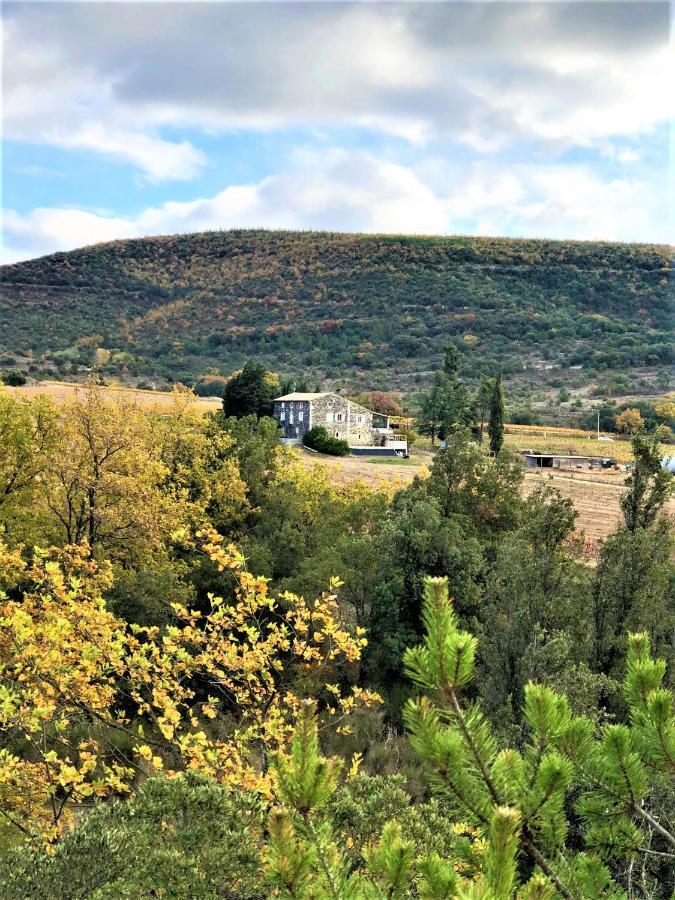 12-14p Avec Vue Piscine Chauffee En Saison, Terrain De Petanque Et Jeux Exterieurs Alba-la-Romaine
